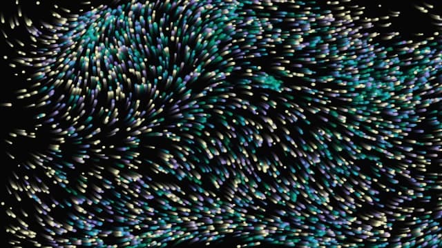 Fluid Canvas thumbnail